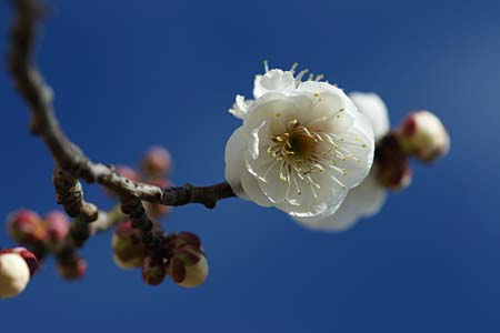 2010年