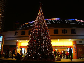 tree2.JPG