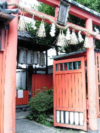Photo1