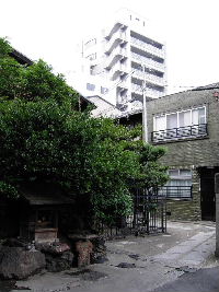 Photo2